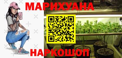 тгк Новодвинск